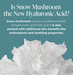 Text about snow mushroom and its benefits on a teal background with snow mushroom image.
